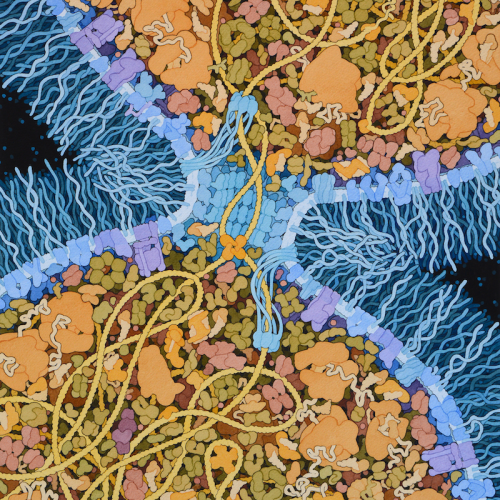 Last Universal Common Ancestor